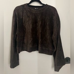 Zara brown corduroy sweater